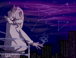 Size: 6500x5000 | Tagged: safe, artist:moonprincessmara, imported from derpibooru, oc, anthro, absurd resolution, night, smoking, stars