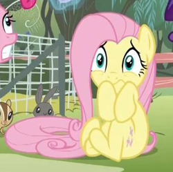 Size: 341x339 | Tagged: safe, imported from derpibooru, screencap, fluttershy, pony, filli vanilli, season 4, cowering, scared