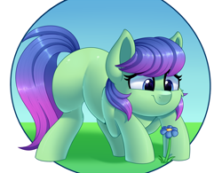 Size: 2842x2213 | Tagged: safe, artist:thegamblehorse, imported from derpibooru, oc, oc only, oc:sweet pea, earth pony, pony, crouching, cute, female, flower, mare, simple background, solo