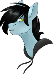 Size: 967x1338 | Tagged: safe, artist:kazanzh, imported from derpibooru, oc, oc only, oc:tyler, pony, bust, male, portrait, simple background, solo, stallion, transparent background