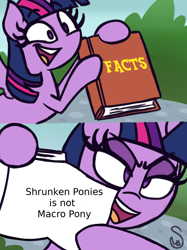 Size: 760x1015 | Tagged: safe, artist:quarium edits, imported from derpibooru, twilight sparkle, alicorn, book, exploitable meme, macro, meme, twilight sparkle (alicorn), twilight's fact book