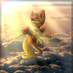 Size: 2000x2000 | Tagged: safe, imported from derpibooru, oc, oc only, oc:amber wing, griffon, cloud, collar, flying, solo, sun, ych result