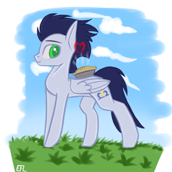 Size: 1000x1000 | Tagged: safe, artist:endelthepegasus, imported from derpibooru, soarin', pegasus, pony, food, male, pie, solo