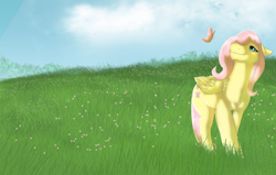 Size: 2200x1400 | Tagged: safe, artist:boxgoat, artist:quelux, imported from derpibooru, fluttershy, butterfly, pegasus, pony, cloud, female, grass, mare, sky, smiling, solo