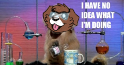 Size: 600x315 | Tagged: safe, artist:askwinonadog, edit, imported from derpibooru, winona, dog, ask winona, ask, beaker, description is relevant, female, has science gone too far?, i have no idea what i'm doing, mug, photo, safety goggles, science, solo, tongue out, tumblr