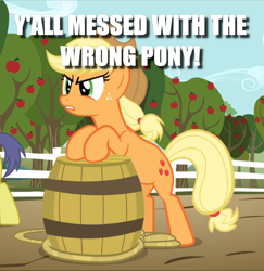 Size: 914x939 | Tagged: safe, edit, edited screencap, imported from derpibooru, screencap, applejack, comet tail, the super speedy cider squeezy 6000, barrel, caption, cropped, image macro, solo focus, text, y'all