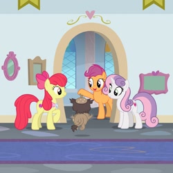 Size: 1080x1080 | Tagged: safe, imported from derpibooru, screencap, apple bloom, scootaloo, sweetie belle, earth pony, griffon, pegasus, pony, unicorn, the last problem, clothes, cropped, cutie mark crusaders, friendship student, goldie delicious' scarf, goldie delicious' shawl, older, older apple bloom, older cmc, older scootaloo, older sweetie belle, school of friendship, shawl