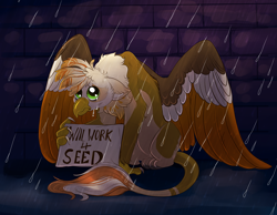 Size: 2700x2100 | Tagged: safe, artist:loryska, imported from derpibooru, oc, oc only, oc:ember burd, griffon, begging, big eyes, brick wall, colored wings, crying, depressing, eared griffon, gradient wings, griffon oc, homeless, looking up, multicolored wings, paws, rain, sad, series finale blues, sitting, solo, spread wings, talons, unemployment, will x for y, wings