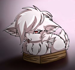Size: 1548x1440 | Tagged: safe, artist:lostmystery, imported from derpibooru, oc, oc only, deer, deer pony, hybrid, original species, pegasus, peryton, pony, :3, :p, albino, box, butt fluff, cheek fluff, chest fluff, chibi, deer oc, doe, ear fluff, female, floppy ears, fluffy, hair over one eye, if i fits i sits, mare, pegasus oc, pony in a box, prone, solo, tongue out