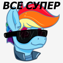 Size: 604x604 | Tagged: safe, artist:dacaoo, imported from derpibooru, rainbow dash, pony, bust, cyrillic, female, mare, portrait, russian, simple background, smug, solo, sunglasses, three quarter view, translated in the comments, white background