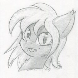 Size: 1577x1578 | Tagged: safe, artist:zemer, imported from derpibooru, oc, oc:fruitful melody, bat pony, pony, bat pony oc, commission, cute, cute little fangs, fangs, looking at you, monochrome, tongue out, traditional art