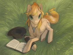 Size: 1400x1050 | Tagged: safe, artist:magistra, imported from derpibooru, oc, oc only, pegasus, pony, book, hat, jewelry, necklace, solo