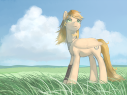 Size: 1400x1050 | Tagged: safe, artist:magistra, imported from derpibooru, oc, oc only, pegasus, pony, cloud, female, grass, jewelry, mare, necklace, sky, solo, windswept mane