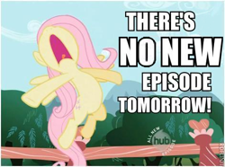 Size: 471x350 | Tagged: safe, edit, edited screencap, imported from derpibooru, screencap, fluttershy, pony, may the best pet win, season 2, cropped, female, find a pet, impact font, no shit sherlock, solo