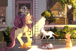 Size: 2039x1378 | Tagged: safe, artist:xieyanbbb, imported from derpibooru, fluttershy, cat, earth pony, pegasus, pony, the last problem, artist error, butt, cafe, coffee shop, daaaaaaaaaaaw, dawwww, earth pony fluttershy, female, mare, older, older fluttershy, plant, plot, race swap, scenery, wingless