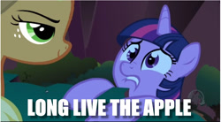 Size: 852x471 | Tagged: safe, edit, edited screencap, imported from derpibooru, screencap, applejack, twilight sparkle, friendship is magic, betrayal, caption, image macro, long live the king, parody, scene parody, text, the lion king, this will end in death
