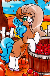 Size: 890x1337 | Tagged: safe, artist:imaranx, imported from derpibooru, oc, oc only, oc:cocoa butter, earth pony, pony, apple, autumn, food, happy, marker drawing, one eye closed, outdoors, pumpkin, solo, traditional art, wink