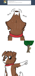 Size: 800x1718 | Tagged: safe, artist:askwinonadog, imported from derpibooru, applejack, winona, dog, ask winona, apple, apple tree, ask, comic, duo, hiding, pointing, simple background, sniffing, tree, tumblr, white background