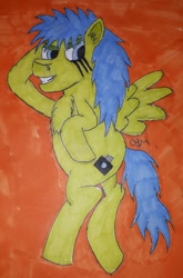 Size: 1060x1603 | Tagged: safe, artist:rapidsnap, imported from derpibooru, oc, oc only, oc:rapidsnap, pony, chest fluff, fluffy, solo, traditional art