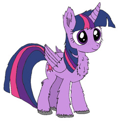 Size: 986x1024 | Tagged: safe, artist:danksailor, imported from derpibooru, twilight sparkle, alicorn, pony, chest fluff, cute, female, fluffy, freckles, simple background, solo, twilight sparkle (alicorn), unshorn fetlocks, white background
