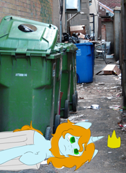 Size: 1068x1467 | Tagged: safe, artist:drunken bubblez, derpibooru exclusive, imported from derpibooru, oc, oc only, pony, unicorn, alley, homeless, irl, male, photo, sad, solo, stallion, trash, trash can