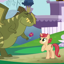 Size: 630x630 | Tagged: safe, imported from derpibooru, screencap, pixy canela, rex (dragon), dragon, pony, the last problem, background pony, cropped, cute, daaaaaaaaaaaw, female, flower, happy, implied interspecies, male, mare, nervous, rex, rexcanela, romantic gesture, suprised look, surprised, unnamed pony