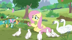 Size: 1920x1080 | Tagged: safe, imported from derpibooru, screencap, fluttershy, bird, butterfly, pony, swan, the last problem, piper perri surrounded