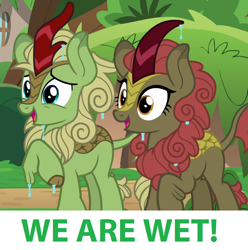 Size: 1208x1216 | Tagged: safe, edit, edited screencap, imported from derpibooru, screencap, forest fall, maple brown, kirin, sounds of silence, captain obvious, cropped, cute, duo, innuendo, wet