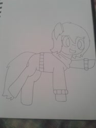 Size: 2576x1932 | Tagged: safe, artist:derpy_the_duck, imported from derpibooru, oc, oc only, oc:derp, earth pony, pony, clothes, solo, traditional art