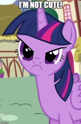 Size: 500x766 | Tagged: safe, edit, edited screencap, editor:twi clown, imported from derpibooru, screencap, twilight sparkle, alicorn, pony, pinkie pride, blatant lies, caption, cropped, cute, denial, female, frown, i'm not cute, image macro, inverted mouth, mare, solo, text, twiabetes, twilight sparkle (alicorn)