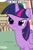 Size: 500x766 | Tagged: safe, edit, edited screencap, editor:twi clown, imported from derpibooru, screencap, twilight sparkle, twilight sparkle (alicorn), alicorn, pony, pinkie pride, blatant lies, caption, cropped, cute, denial, female, frown, i'm not cute, image macro, inverted mouth, mare, solo, text, twiabetes