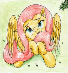 Size: 2211x2387 | Tagged: safe, artist:40kponyguy, derpibooru exclusive, imported from derpibooru, fluttershy, pegasus, pony, bedroom eyes, cute, ear fluff, female, floppy ears, head tilt, hug, looking at you, looking up, shyabetes, solo, spread wings, tail hug, traditional art, wings