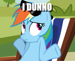 Size: 1128x915 | Tagged: safe, edit, edited screencap, imported from derpibooru, screencap, rainbow dash, pony, too many pinkie pies, caption, cropped, female, image macro, shrug, solo, sunglasses, text