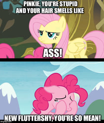 Size: 500x593 | Tagged: safe, edit, edited screencap, imported from derpibooru, screencap, fluttershy, pinkie pie, pony, bridle gossip, the maud couple, abuse, background pony strikes again, downvote bait, flutterbitch, meme, op is a duck, op is trying to start shit, pinkiebuse