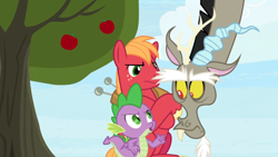 Size: 1600x900 | Tagged: safe, imported from derpibooru, screencap, big macintosh, discord, spike, dragon, the big mac question, apple, apple tree, pointing, tree, unamused, winged spike, wings