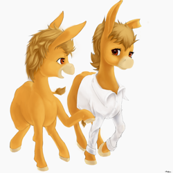 Size: 1000x1000 | Tagged: safe, artist:usager, imported from derpibooru, oc, oc only, oc:erythema, oc:sunburn, donkey, pony, donkey oc, dress shirt, female, fraternal twins, male, simple background, torn ear, white background