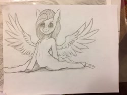 Size: 1024x768 | Tagged: safe, artist:miokomata, imported from derpibooru, fluttershy, pegasus, semi-anthro, female, freckles, mare, monochrome, sketch, splits, traditional art