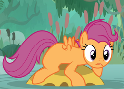 Size: 960x693 | Tagged: safe, imported from derpibooru, screencap, scootaloo, bufogren, pegasus, pony, growing up is hard to do, cropped, female, older, older scootaloo, prone, solo, swamp