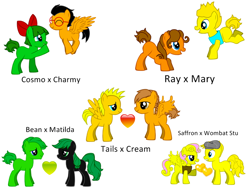 Size: 800x600 | Tagged: safe, artist:donamorteboo, imported from derpibooru, pony, pony creator, bean the dynamite, charmy bee, cosmo, cream the rabbit, heart, marine the raccoon, matilda the armadillo, miles "tails" prower, ponified, ray the flying squirrel, saffron bee, shipping, sonic the hedgehog (series), wombat stu