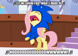 Size: 642x464 | Tagged: safe, artist:soul-yagami64, edit, edited screencap, imported from derpibooru, screencap, fluttershy, pegasus, pony, green isn't your color, clothes, cosplay, costume, crossover, song reference, sonic heroes, sonic the hedgehog, sonic the hedgehog (series), what i'm made of