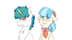Size: 1920x1080 | Tagged: safe, artist:euspuche, imported from derpibooru, coco pommel, oc, oc:snowy blue, earth pony, pony, unicorn, animated, canon x oc, cocobetes, cocowy, cute, female, flower, frame by frame, gif, horn, horn ring, kissing, male, ocbetes, straight