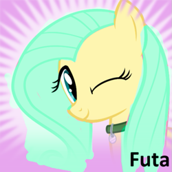 Size: 531x530 | Tagged: safe, edit, imported from derpibooru, oc, oc only, oc:emileeshy, pegasus, pony, derpibooru, 1000 hours in ms paint, collar, futa, futa oc, intersex, meta, not fluttershy, one eye closed, recolor, solo, spoilered image joke, text, wink