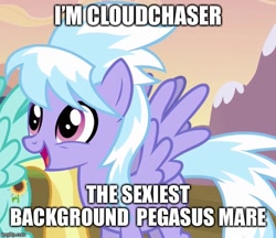 Size: 579x500 | Tagged: safe, edit, edited screencap, imported from derpibooru, screencap, cloudchaser, helia, pegasus, pony, hurricane fluttershy, caption, cropped, female, image macro, mare, meme, solo focus, text
