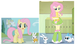 Size: 1104x680 | Tagged: safe, artist:bbbhuey, edit, imported from derpibooru, screencap, angel bunny, fluttershy, mitsy, butterfly, cat, pegasus, pony, rabbit, equestria girls, equestria girls (movie), the ticket master, animal, backpack, boots, cute, golden ticket, kitten, lockers, looking at you, ponyville, shoes, shyabetes, size comparison