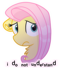 Size: 839x978 | Tagged: safe, artist:rainbow eevee, imported from derpibooru, fluttershy, pony, bust, concerned, cool, female, looking at you, simple background, solo, sticker, text, transparent background