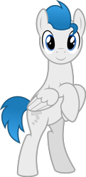 Size: 4000x8271 | Tagged: safe, artist:parclytaxel, imported from derpibooru, oc, oc only, oc:dreamy daze, pegasus, pony, 2020 community collab, derpibooru community collaboration, .svg available, absurd resolution, bipedal, looking at you, male, raised hoof, simple background, smiling, solo, stallion, transparent background, vector