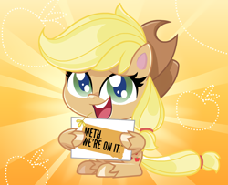 Size: 1246x1012 | Tagged: safe, imported from derpibooru, applejack, earth pony, pony, my little pony: pony life, anti-drug, applejack's hat, cowboy hat, drugs, female, g4.5, hat, mare, meth, pony life applejack's sign, sign, smiling, solo, south dakota, straw in mouth, unshorn fetlocks