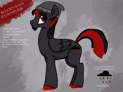 Size: 3738x2795 | Tagged: safe, artist:8loodyrain, imported from derpibooru, oc, oc only, oc:bloody rain, pegasus, pony, beanie, colored hooves, hat, male, pegasus oc, reference sheet, solo, stallion, wings