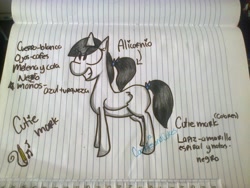 Size: 2048x1536 | Tagged: safe, artist:cookiesandcakes, imported from derpibooru, oc, oc only, alicorn, pony, alicorn oc, eye clipping through hair, female, grin, horn, lined paper, mare, reference sheet, smiling, solo, spanish, traditional art