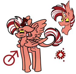 Size: 884x858 | Tagged: safe, artist:hunterthewastelander, imported from derpibooru, oc, oc only, oc:jackpot chance pie, alicorn, pony, alicorn oc, bust, frown, hat, horn, interspecies offspring, male, offspring, parent:discord, parent:pinkie pie, parents:discopie, reference sheet, simple background, smiling, smirk, stallion, story included, top hat, white background